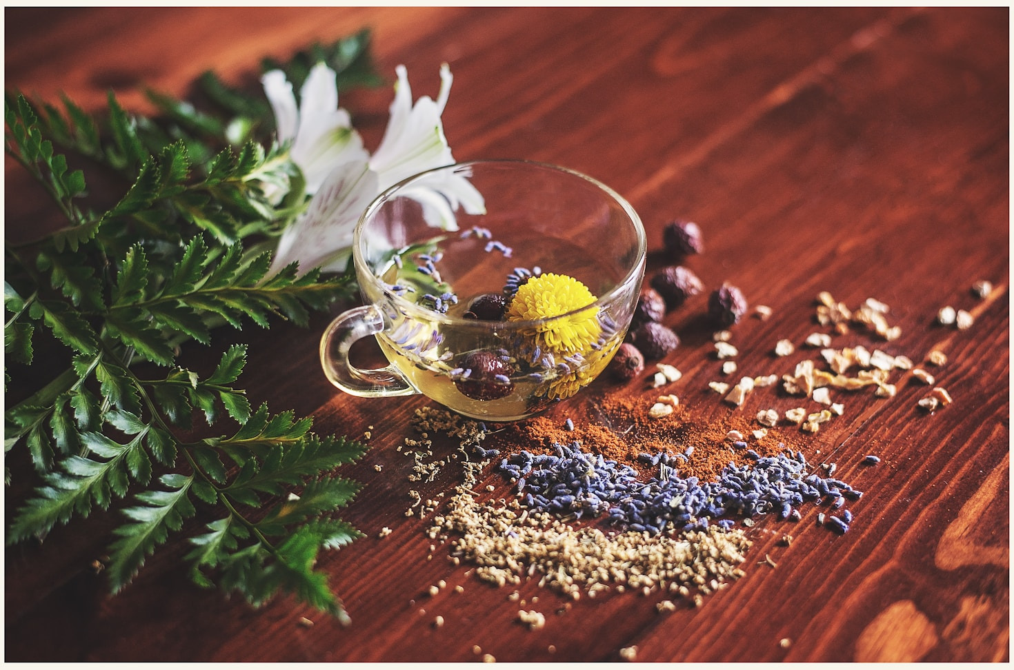 La fitoterapia: la natura al servizio del corpo